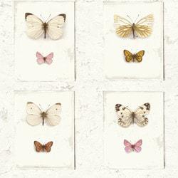 walls-republic-vintage-butterfly-weathered-rustic-flutter-wallpaper