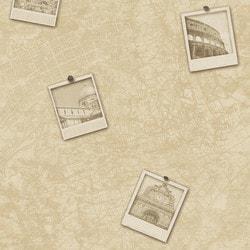 walls-republic-vintage-classic-urban-photographic-city-map-world-traveler-wallpaper